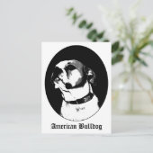 アメリカのブルドッグ葉書 ポストカード (スタンド正面)