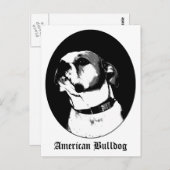 アメリカのブルドッグ葉書 ポストカード (正面/裏面)