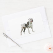 アメリカのブルドッグ – ブラウン – ホワイト 長方形シール (封筒)