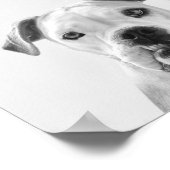 アメリカのブルドッグ・ブルーノ ポスター (角)