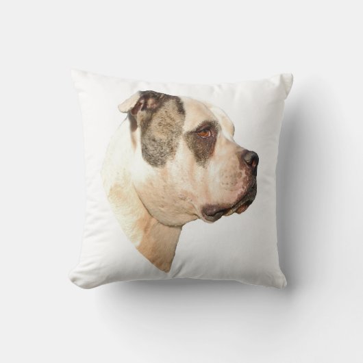 アメリカのブルドッグPillow2 クッション (正面)