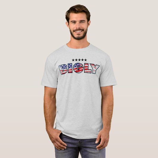 アメリカのプライドBIGLYのTシャツ Tシャツ (正面フル)