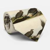 アメリカのプレインズオードボンバードの雄の鳥 ネクタイ (ロール)