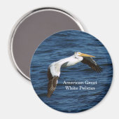 アメリカのホワイトペリカン磁石 マグネット (正面/裏面)