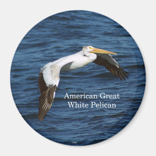 アメリカのホワイトペリカン磁石 マグネット
