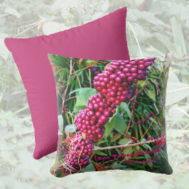 アメリカのボクタワーガーデンズフロリダ クッション