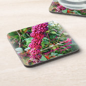 アメリカのボクタワーガーデンズフロリダ コースター (左側)