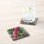 アメリカのボクタワーガーデンズフロリダ コースター (右側)