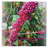 アメリカのボクタワーガーデンズフロリダ タイル (正面)