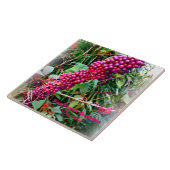 アメリカのボクタワーガーデンズフロリダ タイル (側面)