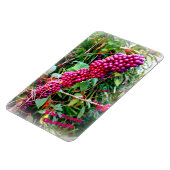 アメリカのボクタワーガーデンズフロリダ マグネット (左側)