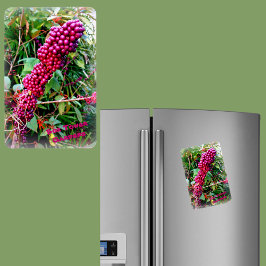 アメリカのボクタワーガーデンズフロリダ マグネット