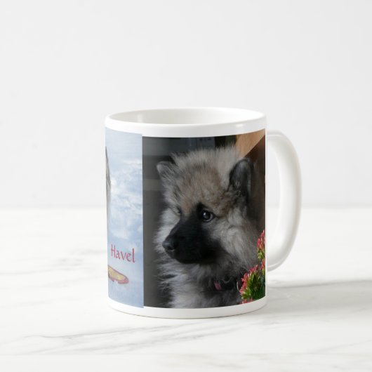 アメリカのマグへのHavelの移民 コーヒーマグカップ (正面右)