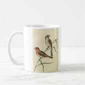 アメリカのメキシコマシコ コーヒーマグカップ (左)