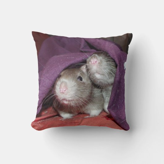 アメリカのモホ枕を隠しているネズミ クッション (正面)
