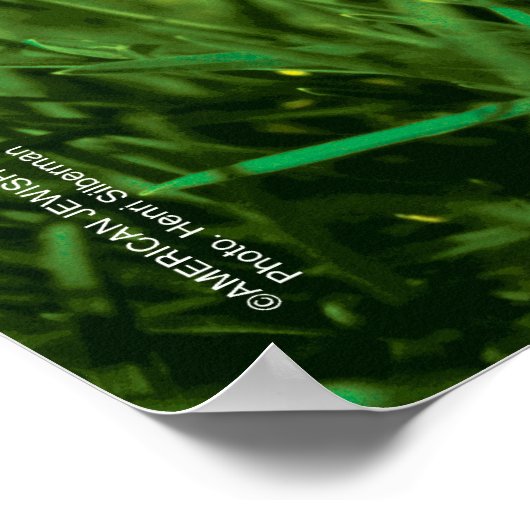 アメリカのユダヤ人 ポスター (角)