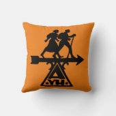 アメリカのユース・ホステル クッション (裏面)