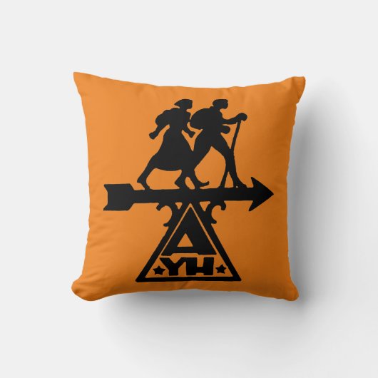 アメリカのユース・ホステル クッション (正面)