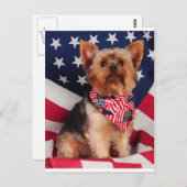 アメリカのヨークシャーテリア ポストカード (正面/裏面)