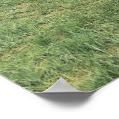 アメリカのライオン(パンテラのアトロックス)のポスター ポスター (角)