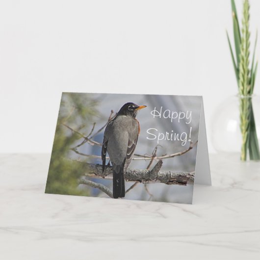 アメリカのロビン写真 カード (正面)