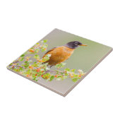 アメリカのロビン州、Sublette County、ワイオミング タイル (側面)