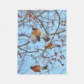 アメリカのロビン フリースブランケット (正面)