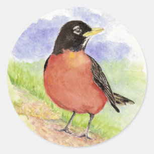 アメリカのロビン、鳥、自然、野生動物 ラウンドシール