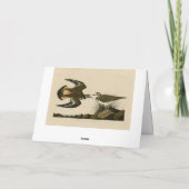 アメリカのロンドゥボンバード カード (裏面)