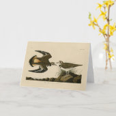 アメリカのロンドゥボンバード カード (黄色い花)