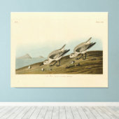 アメリカのロンドゥボンバード キャンバスプリント (インサイチュ (ウッドフロア))