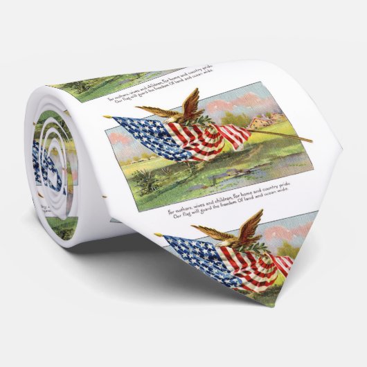 アメリカのワシおよび旗 ネクタイ (ロール)