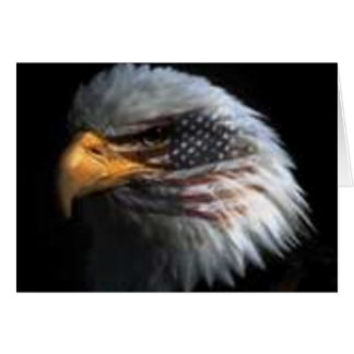 アメリカのワシ