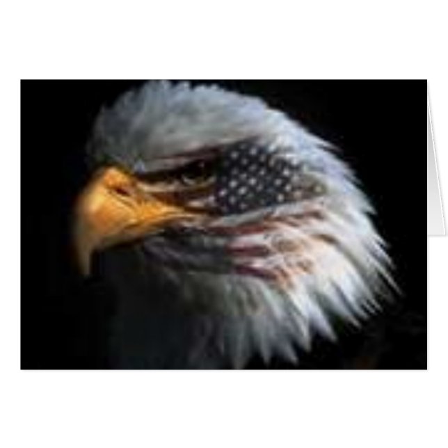 アメリカのワシ (正面横)