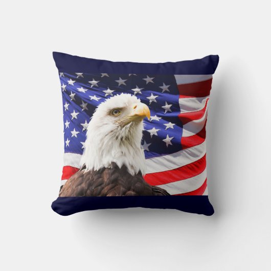 アメリカのワシ クッション (正面)