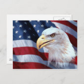 アメリカのワシ ポストカード (正面/裏面)