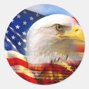 アメリカのワシ ラウンドシール