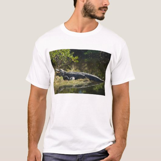 アメリカのワニがフロリダの湿地帯で休息 Tシャツ (正面)