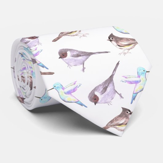 アメリカの低木、ハチドリ、房状の有名植物 ネクタイ (ロール)