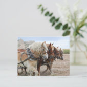 アメリカの労働者 ポストカード (スタンド正面)