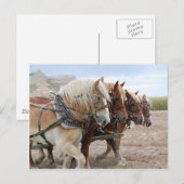 アメリカの労働者 ポストカード (正面/裏面)