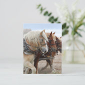 アメリカの労働者 ポストカード (スタンド正面)