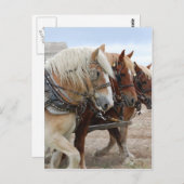 アメリカの労働者 ポストカード (正面/裏面)