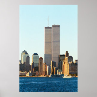 アメリカの双子 ポスター