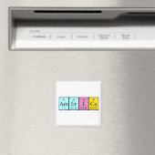 アメリカの周期表名磁石 マグネット (インサイチュ (食洗機))