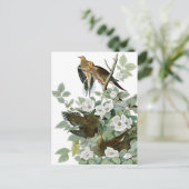 アメリカの哀愁のキジバト、ジョン・ジェームズ・オードュボン、極上品 ポストカード (スタンド正面)