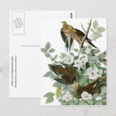 アメリカの哀愁のキジバト、ジョン・ジェームズ・オードュボン、極上品 ポストカード (正面/裏面)