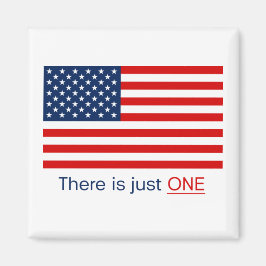 アメリカの国旗が一つしかない。マグネット マグネット