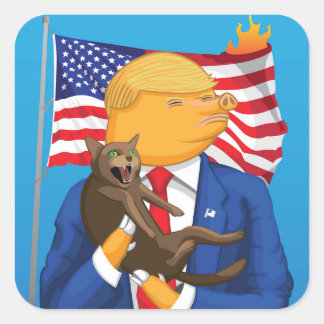 アメリカの大災害の正方形のステッカー スクエアシール