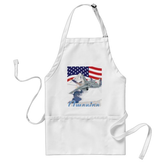 アメリカの戦闘機 スタンダードエプロン (正面)